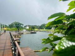 -济州森林小火车生态公园