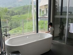 -帐篷客·溪龙茶谷度假酒店