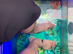 -泰国鱼疗足疗馆