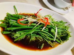 -初蓉丨遇见新川菜(亲贤街荣耀店)