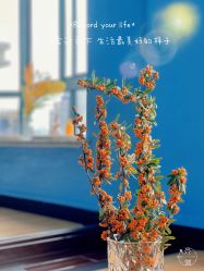 -齐伽生活馆·瑜伽·普拉提·阿育吠陀