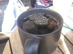 哥伦比亚手冲咖啡-星巴克臻选(思南公馆店)