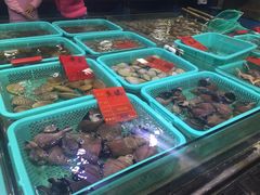 -渔傅·蓝海岸霞浦海鲜(正祥店)