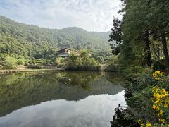 -桃花岭景区