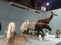 -国家自然博物馆