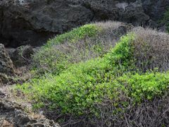 -龙坑生态保护区