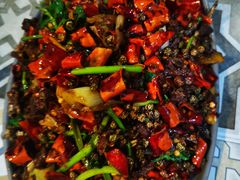 -鼎原力量东北吊炉烧烤(临河街店)