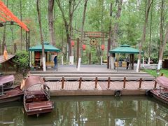 -合肥滨湖国家森林公园