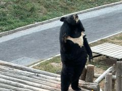 -大连森林动物园