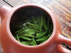 -大唐贡茶院