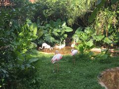 -芋香缘tarosweet(1天地店)