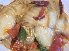 -嘉峪关伊俩寺烤肉店