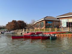 -上海海湾国家森林公园