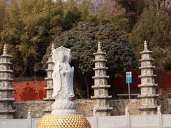 -泰山风景名胜区-普照寺