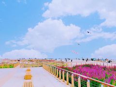 -东疆建设开发纪念公园