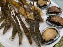 花竹斑节虾-汤城·料青山