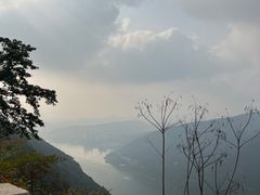 -铁山坪森林公园