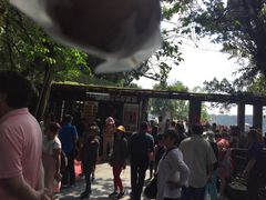 -金盆阿嬷香菇茶叶蛋(玄光店)