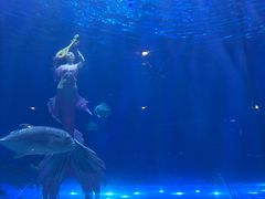 -华夏文旅海洋公园