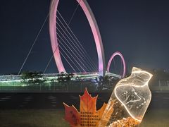 -南京眼步行桥