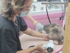 -FAELING PETS美天灵宠物(富力广场店)