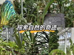 -郑州植物园