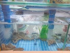 -富临港·蒸汽海鲜·手抓海鲜·炒菜(栈桥店)