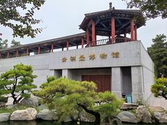 -中国唐苑