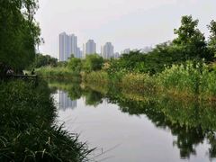江湾湿地一组-新江湾城公园