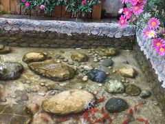 -浔岚云舍mist静谧观景美宿(丽江古城店)