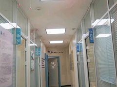 -全心全意连锁动物医院·微创中心·内科急重症·心脏专科(丰管路店)