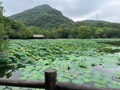 -八卦田遗址公园