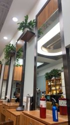 -I+造型烫发染发