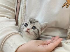 -爱侣宠医·鹦鹉专科·小型哺乳类·异宠专科(灵石路店)