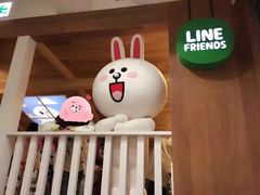 -line friends(明洞旗舰店)