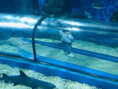 -福州罗源湾海洋世界旅游区