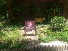 -石燕湖生态旅游景区
