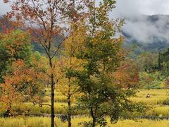 -塔川景区