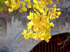 -北京石刻艺术博物馆(五塔寺)