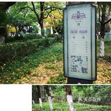 静静得在这迷人の校园走上一圈,真的是心旷神怡啊