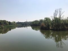 -白鹭湾湿地公园