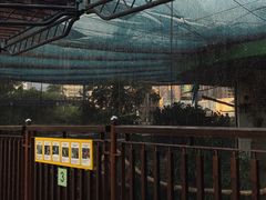 -九龙公园
