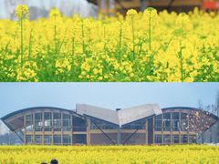 -中国天府农业博览园