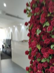 体验后-春田皮肤管理中心品牌旗舰店