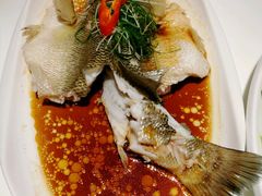 清蒸鲈鱼-至潮餐厅精致粤菜·活鲈鱼·走地鸡(珠江新城店)