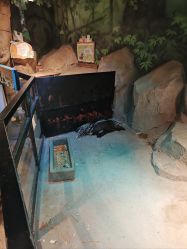 -酷嗒动物文化乐园(cutezoo西溪乐天城店)