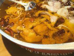 -向川南·水煮鱼·川菜(和平里店)