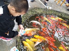 -成飞公园