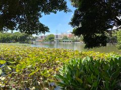 -荔湾湖公园