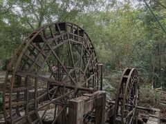 -大屏嶂森林公园